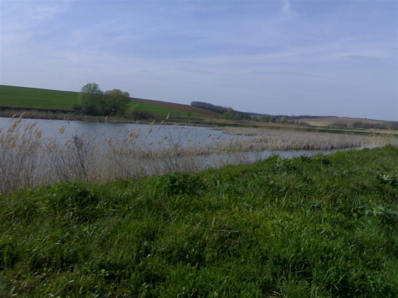 200704091659 .jpg